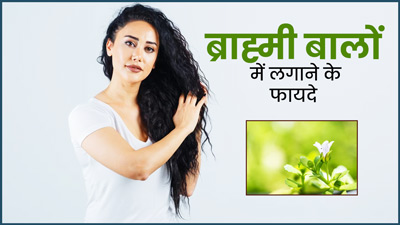 गर्मी में ब्राह्मी का तेल बालों पर लगाने से मिलते हैं कई फायदे, जानें इसे लगाने का तरीका 